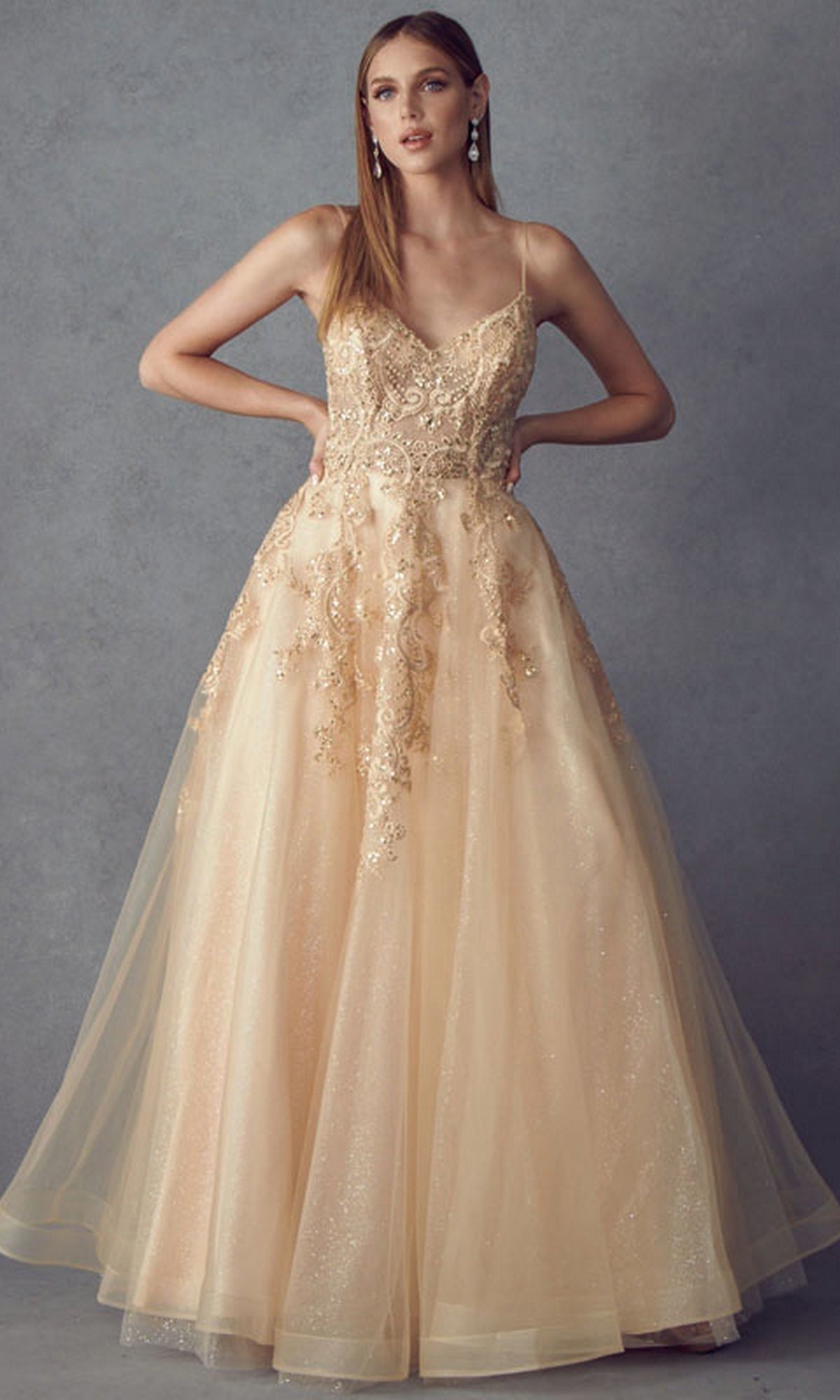 Embroidered Glitter-Tulle Long Prom Ball Gown 251