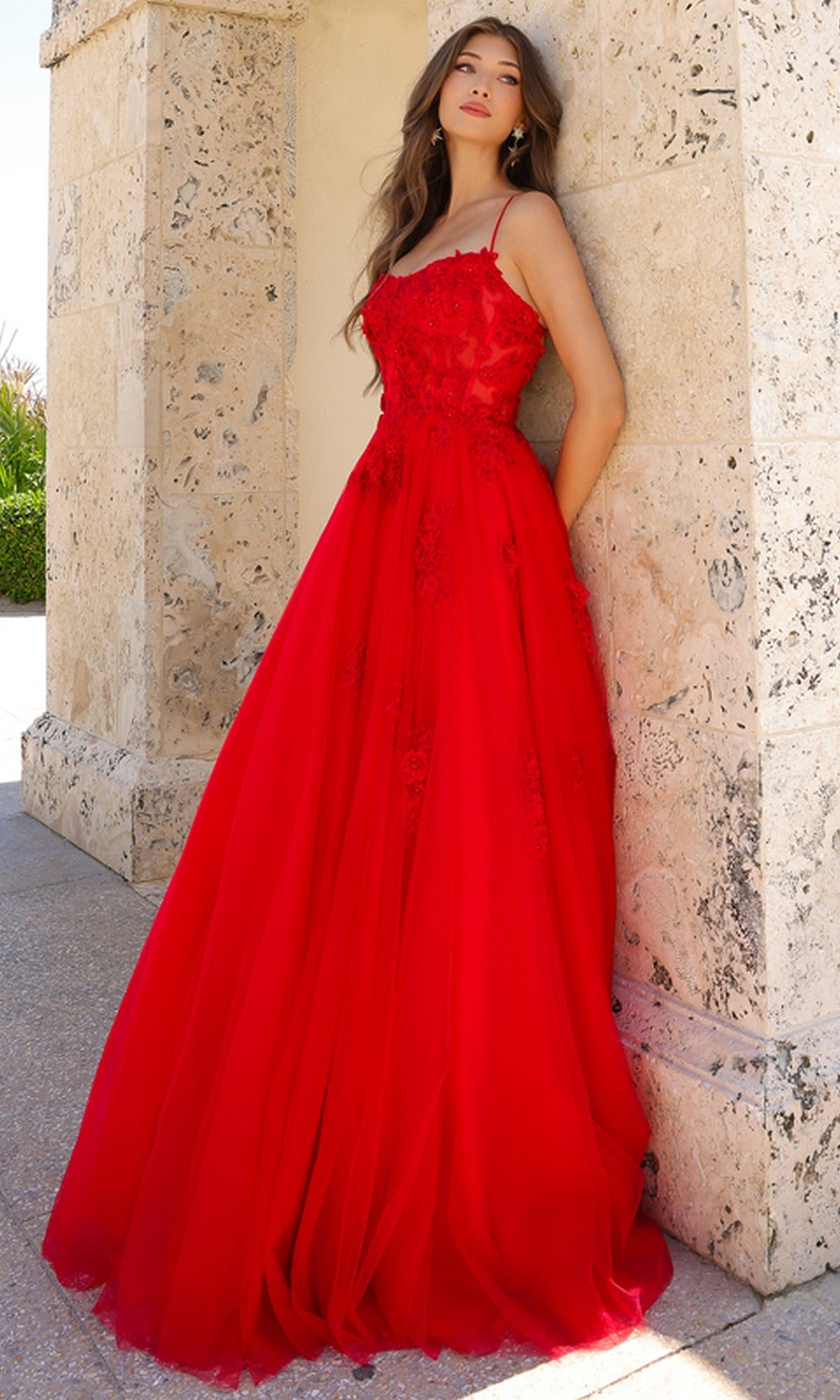 Embroidered-Tulle Long A-Line Prom Ball Gown 7035