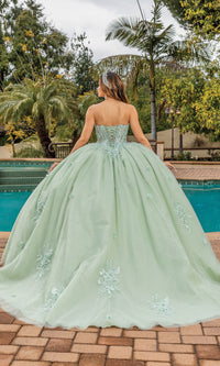 Quinceanera Dress 1893 By Dancing Queen