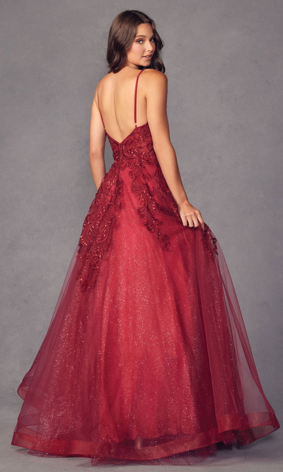 Embroidered Glitter-Tulle Long Prom Ball Gown 251