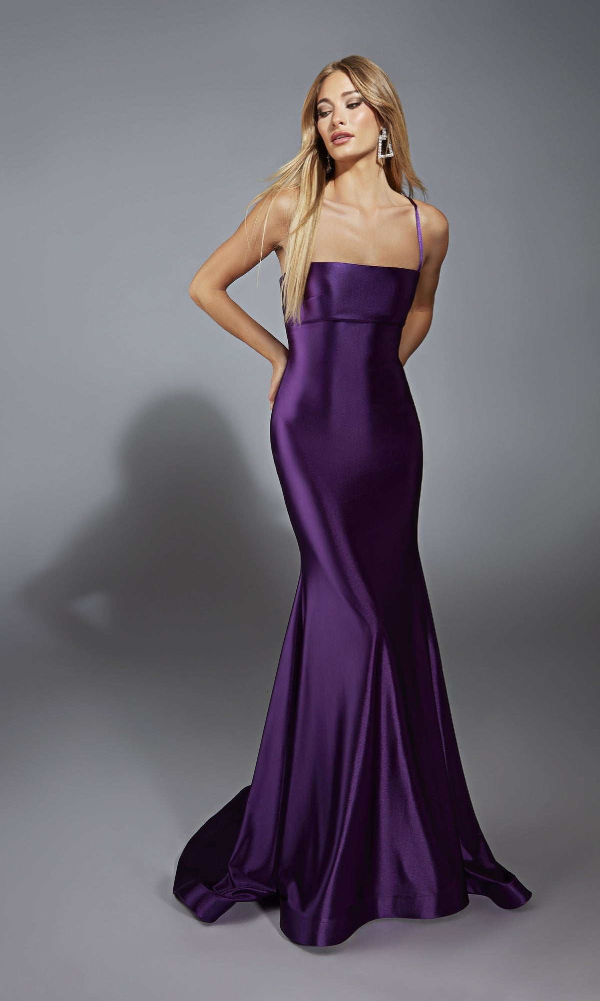 Long Fitted Prom Dress: Aerie Couture 313