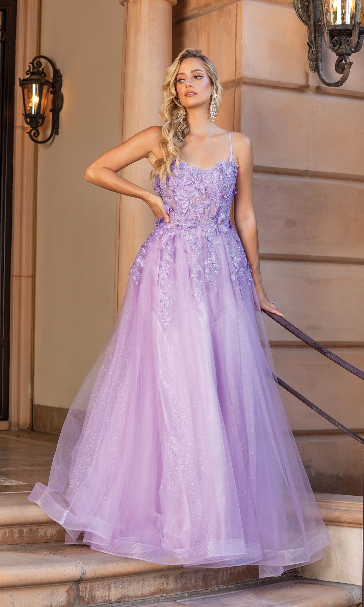 Long A-Line Prom Ball Gown with Butterflies 4355