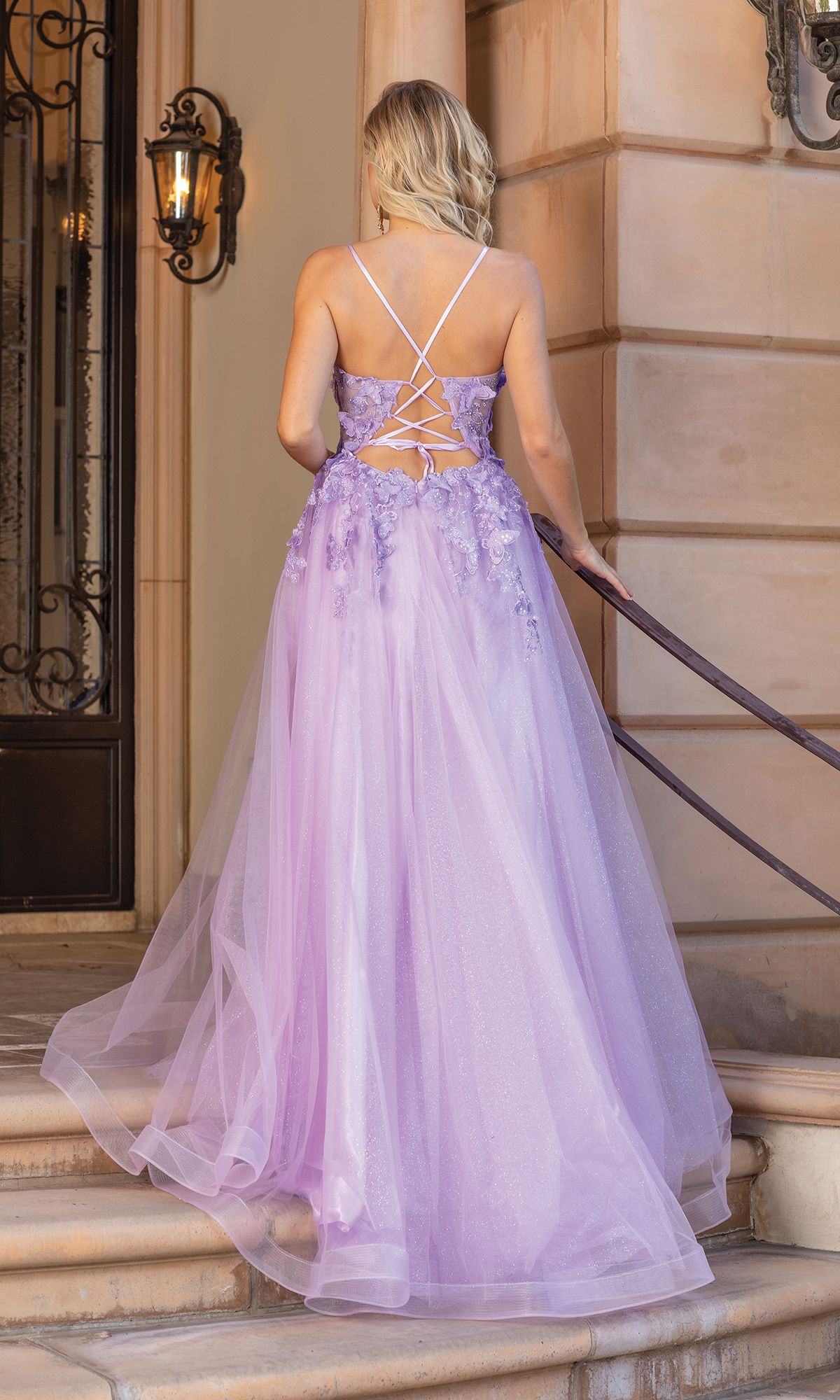 Long A-Line Prom Ball Gown with Butterflies 4355