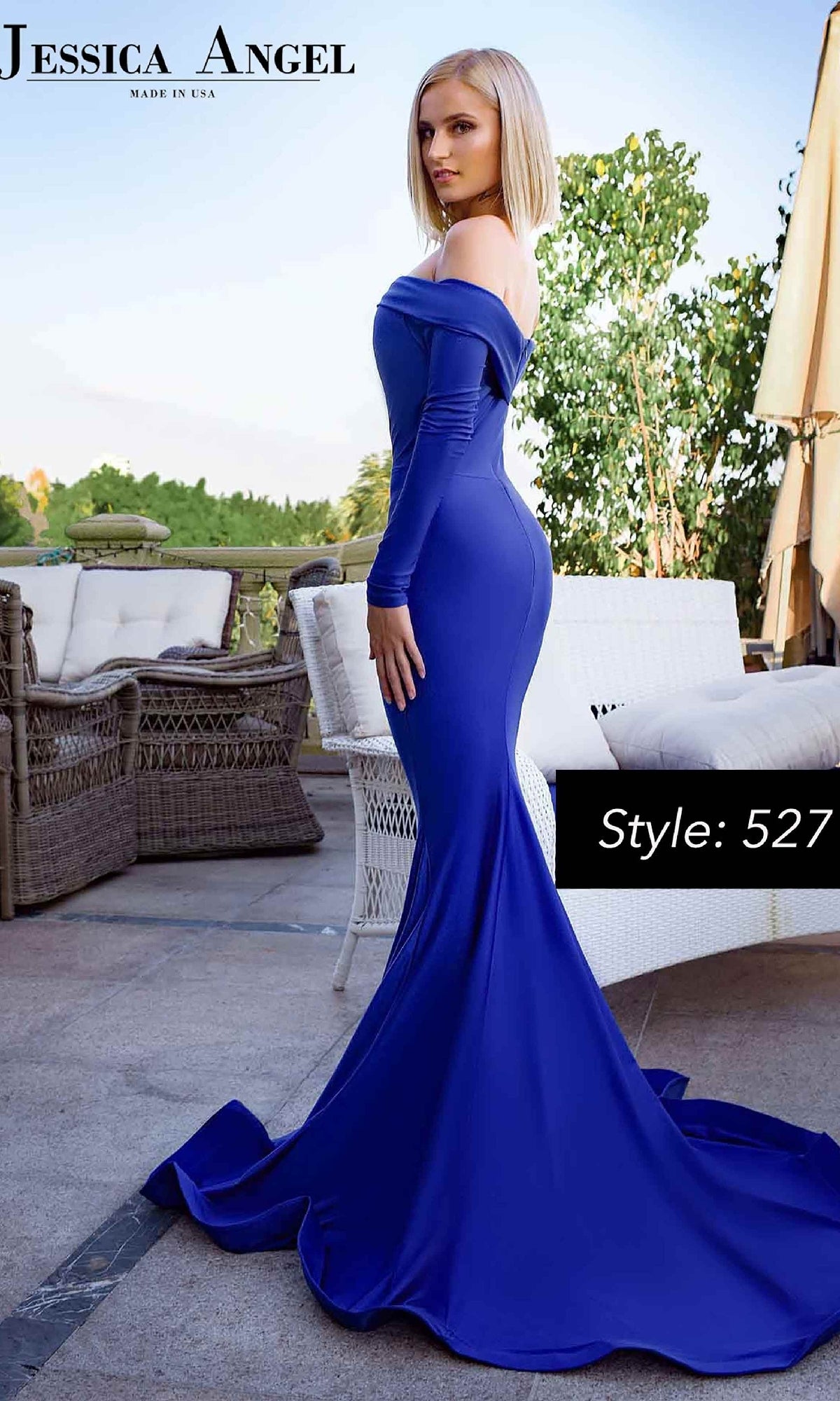 Long Sleeve Long Prom Gown: Jessica Angel 527