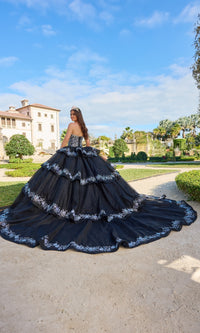 Quinceanera Dress 54222 By Amarra