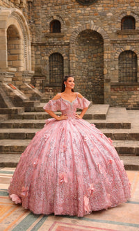 Glitter Tulle Quinceañera Dress: Amarra 54229