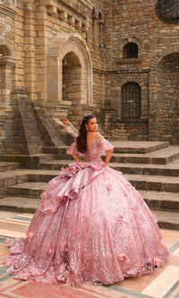 Glitter Tulle Quinceañera Dress: Amarra 54229