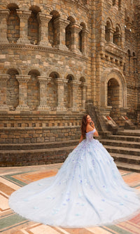 3D Floral Quinceañera Dress: Amarra 54231