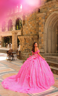 3D Flower Quinceanera Dress: Amarra 54233