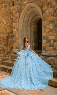 3D Flower Quinceanera Dress: Amarra 54233