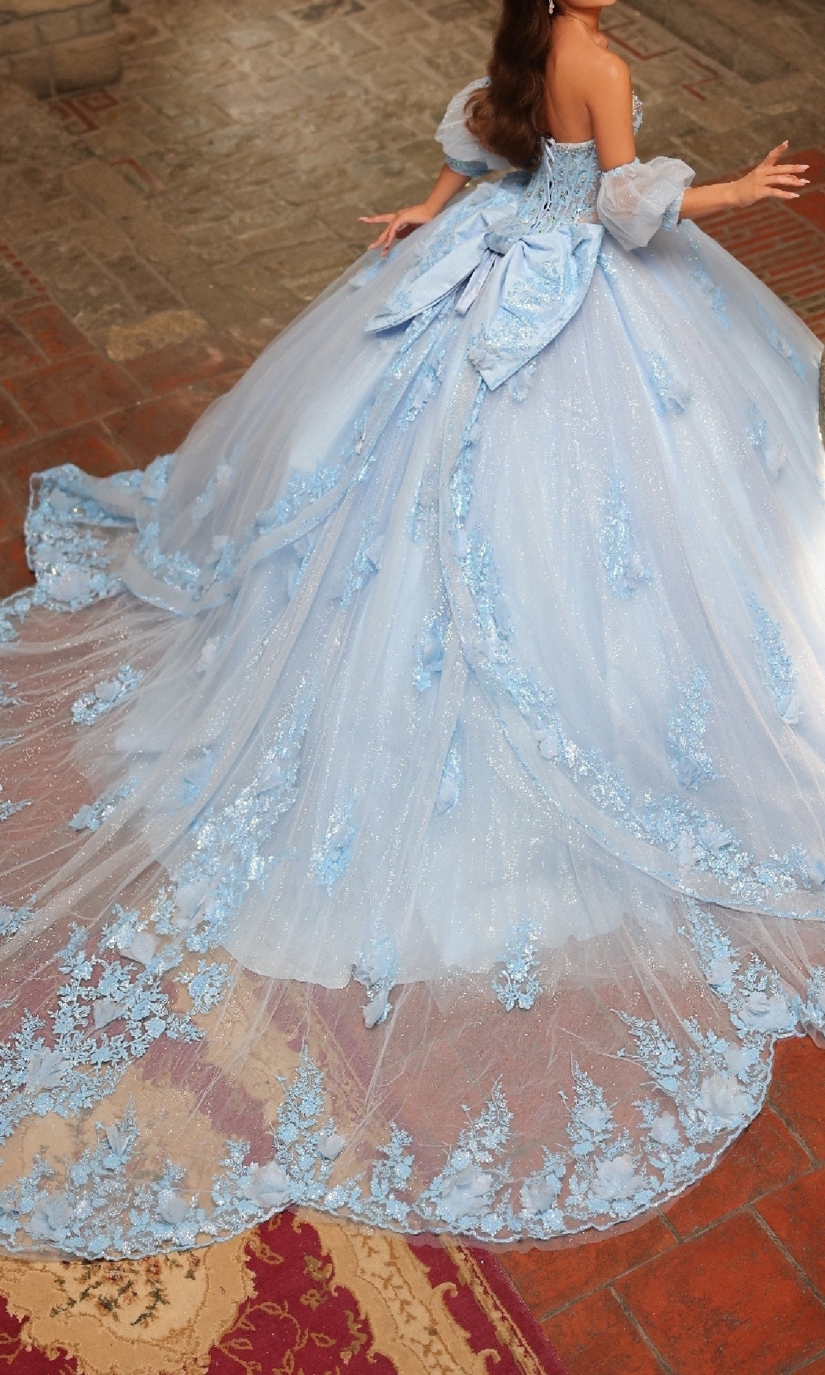 Catehdral-Train Quinceanera Dress: Amarra 54242