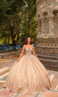 Quinceanera Dress 54324 By Amarra