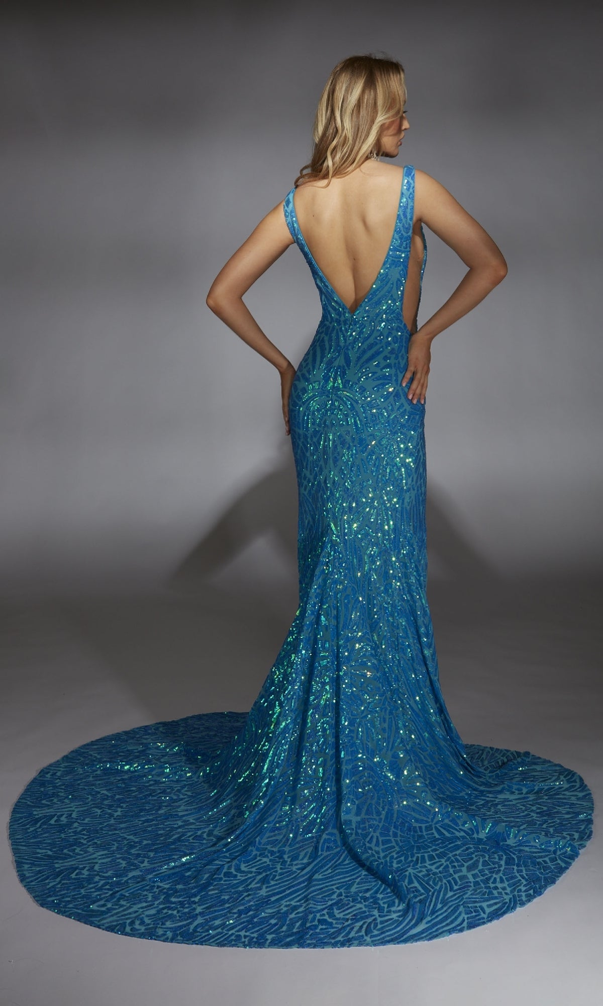 Long Prom Dress: Alyce 61876