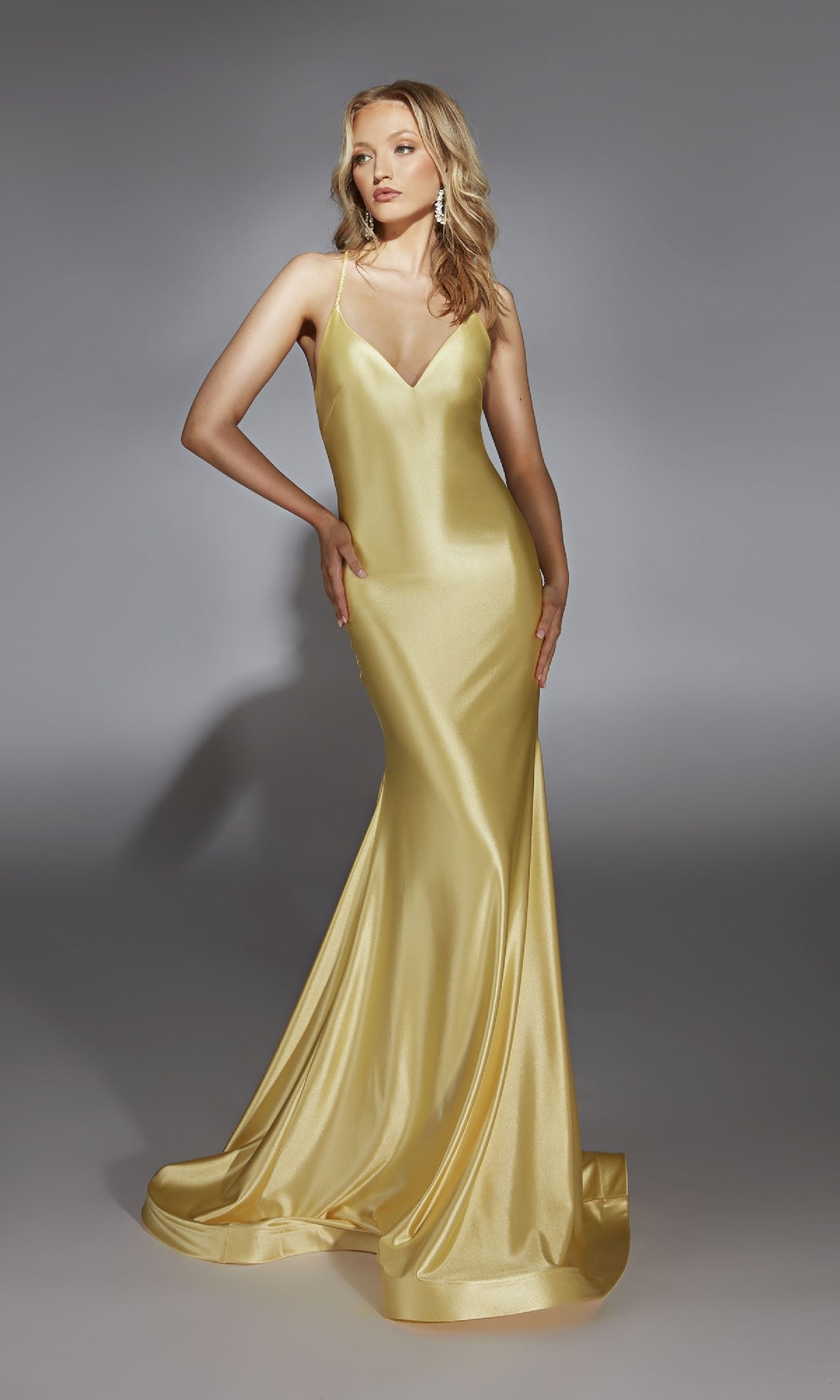 Long Prom Dress: Alyce 61966