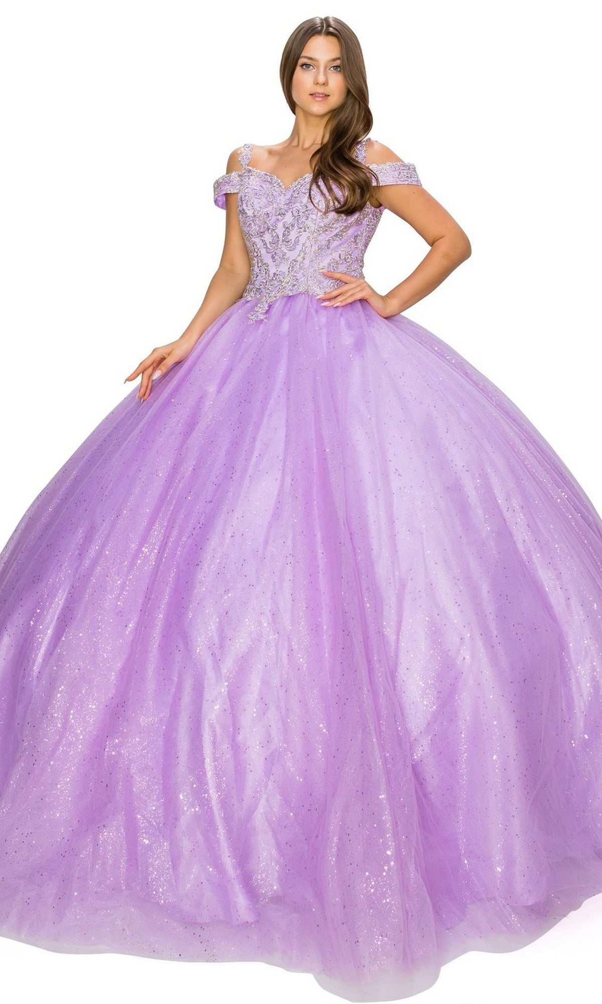 Quinceanera Ball Gown 8028J