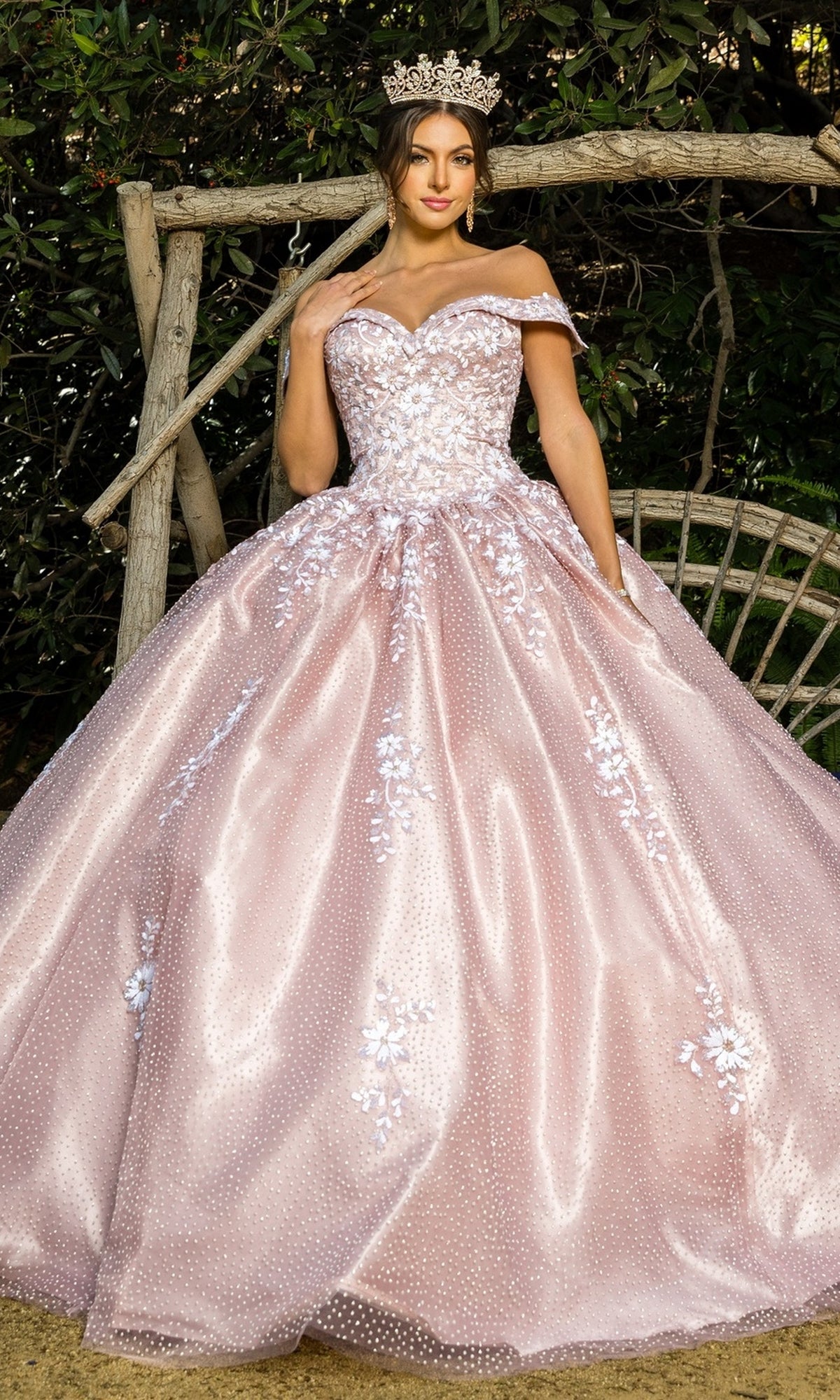 Prom Dress Cinderella Brand