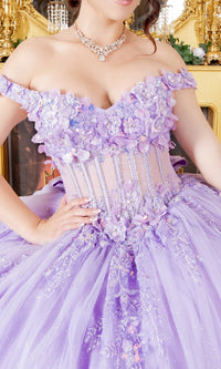 Quinceanera Dress: Cinderella Couture 8160J