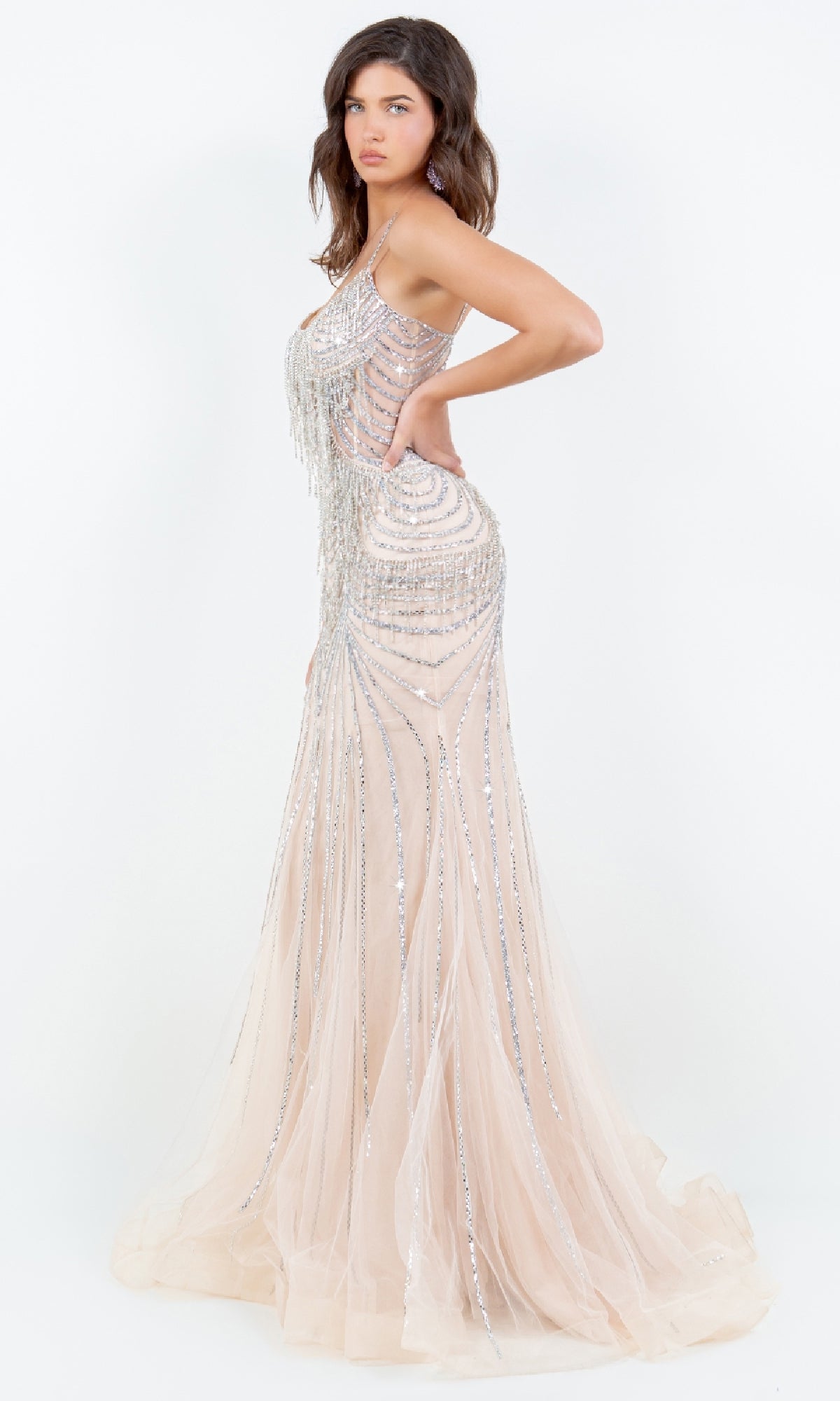 Long Formal Dress: Cinderella Couture 8192J