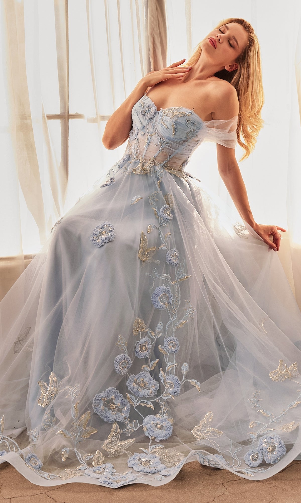 Long Blue Prom Ball Gown: Andrea and Leo A1246