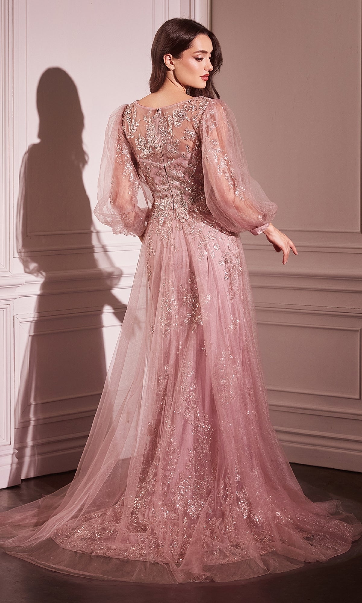 Sheer-Sleeve Long Prom Dress: Nox Anabel CD0102