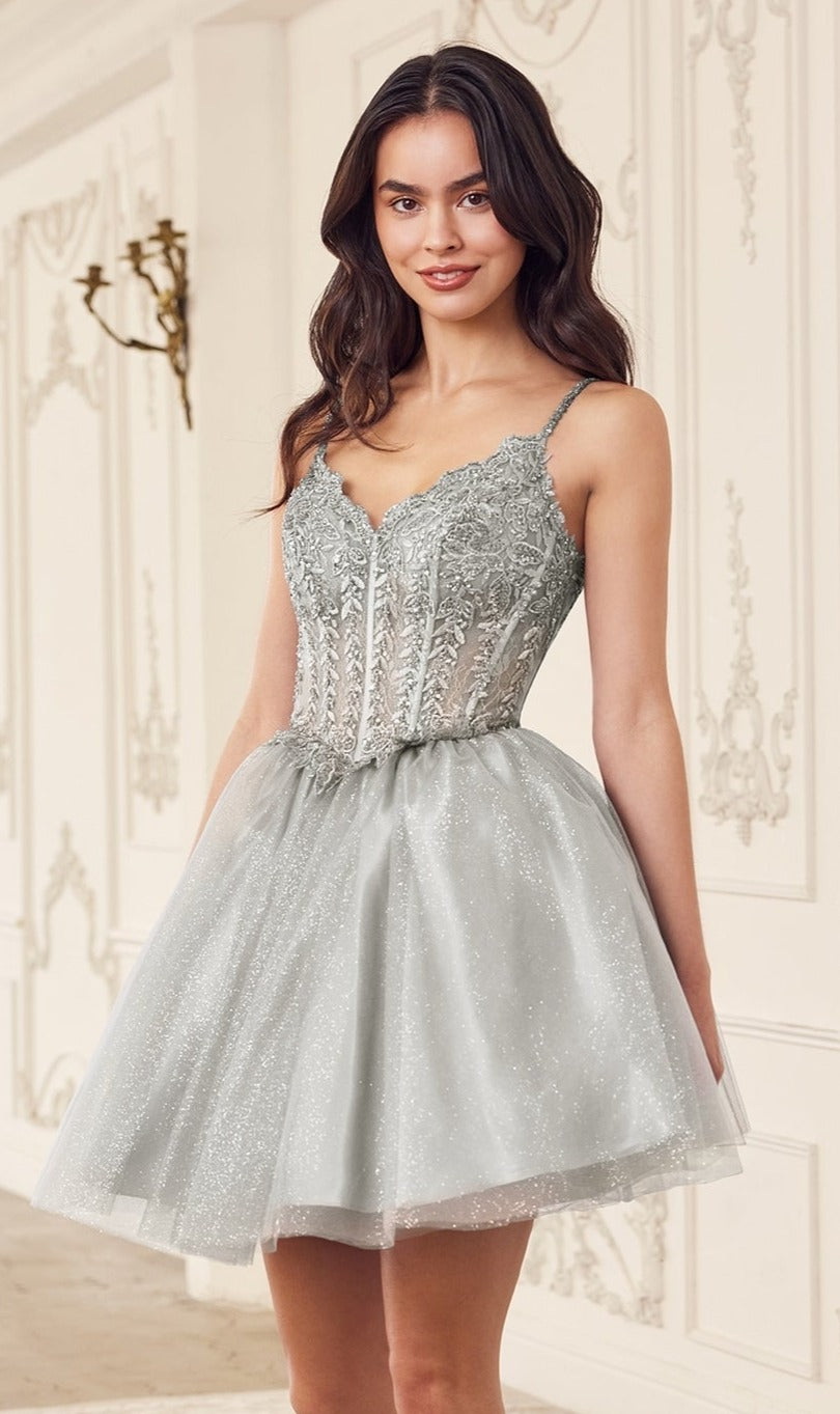 Sheer Bodice Homecoming Dress with Embroidered Lace