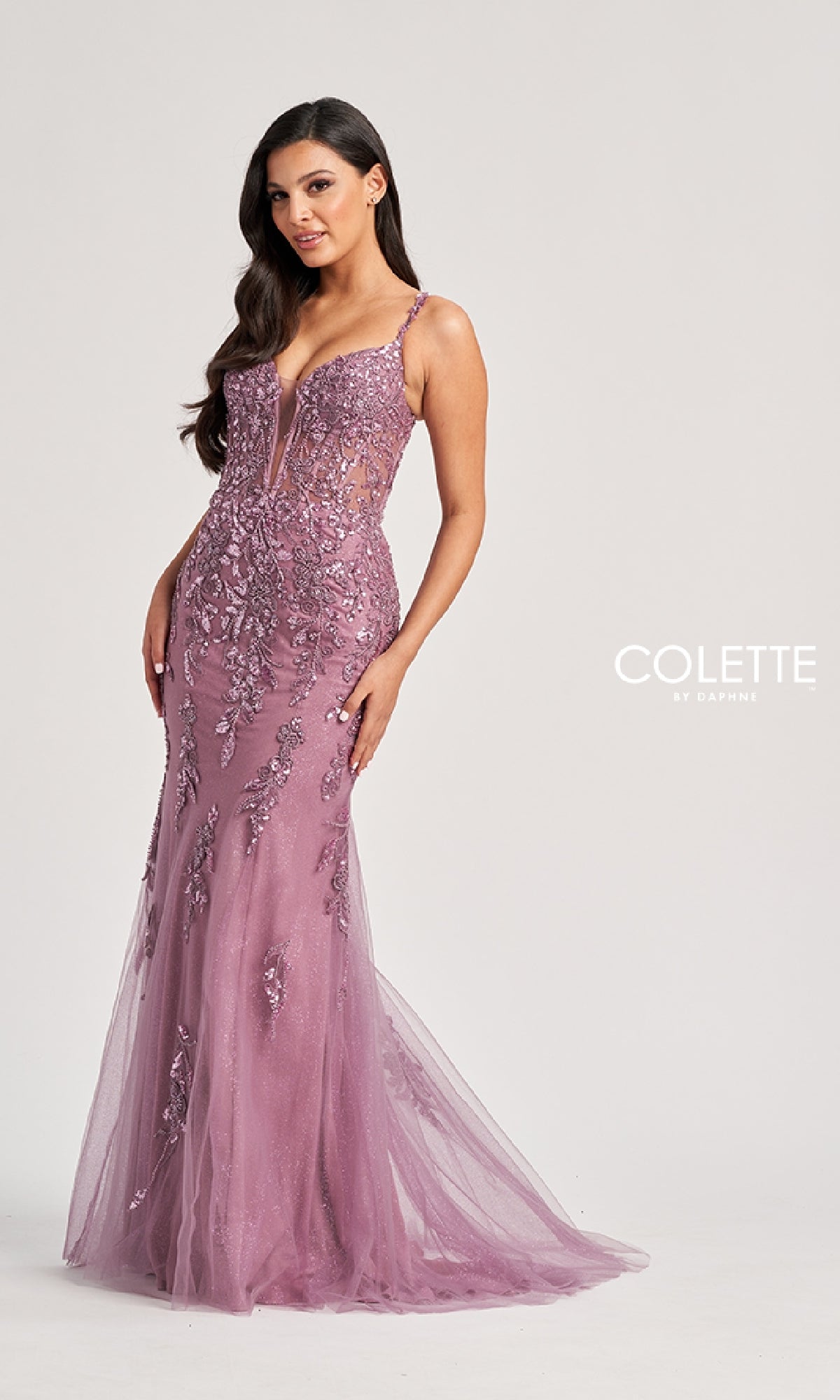 Long Prom Dress: Colette CL8210