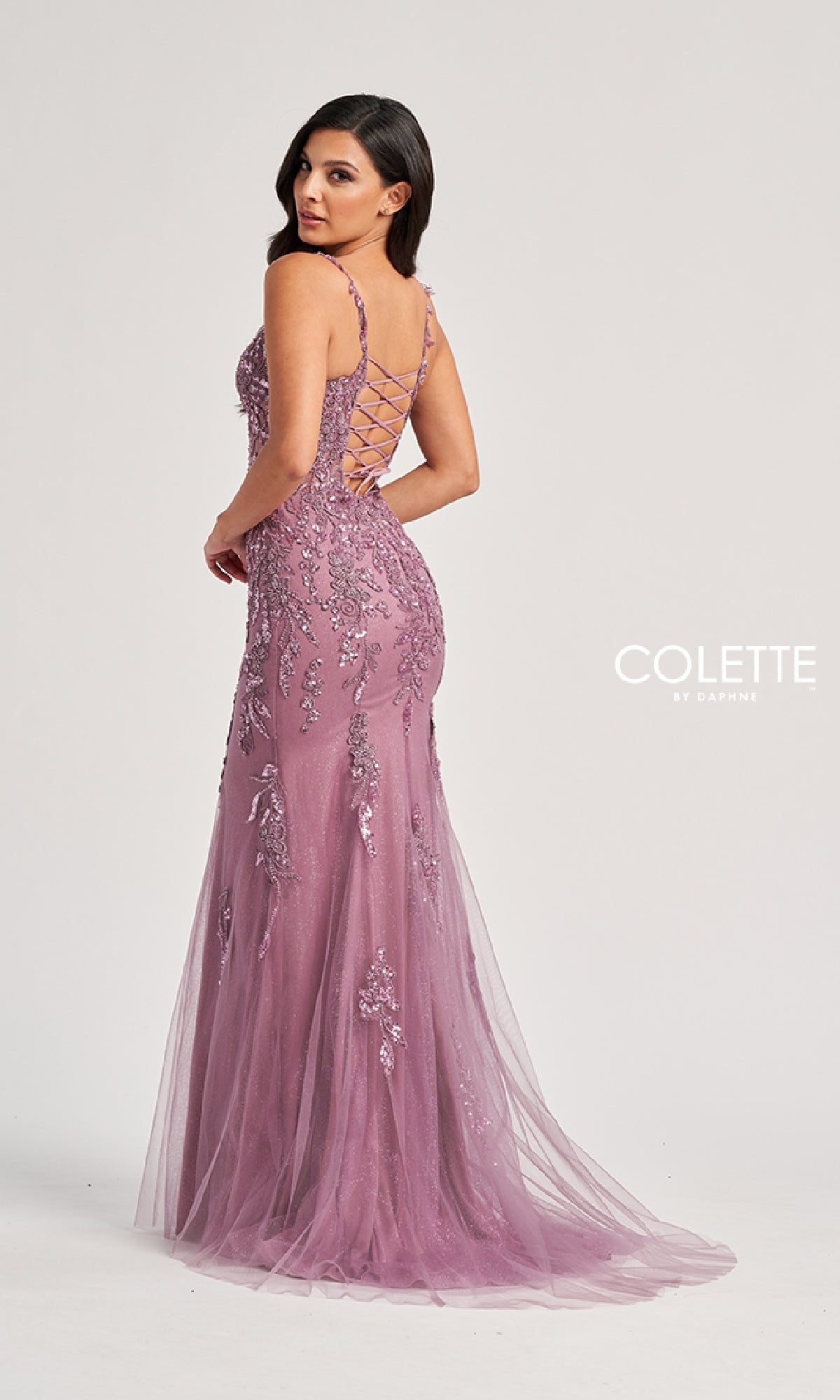 Long Prom Dress: Colette CL8210