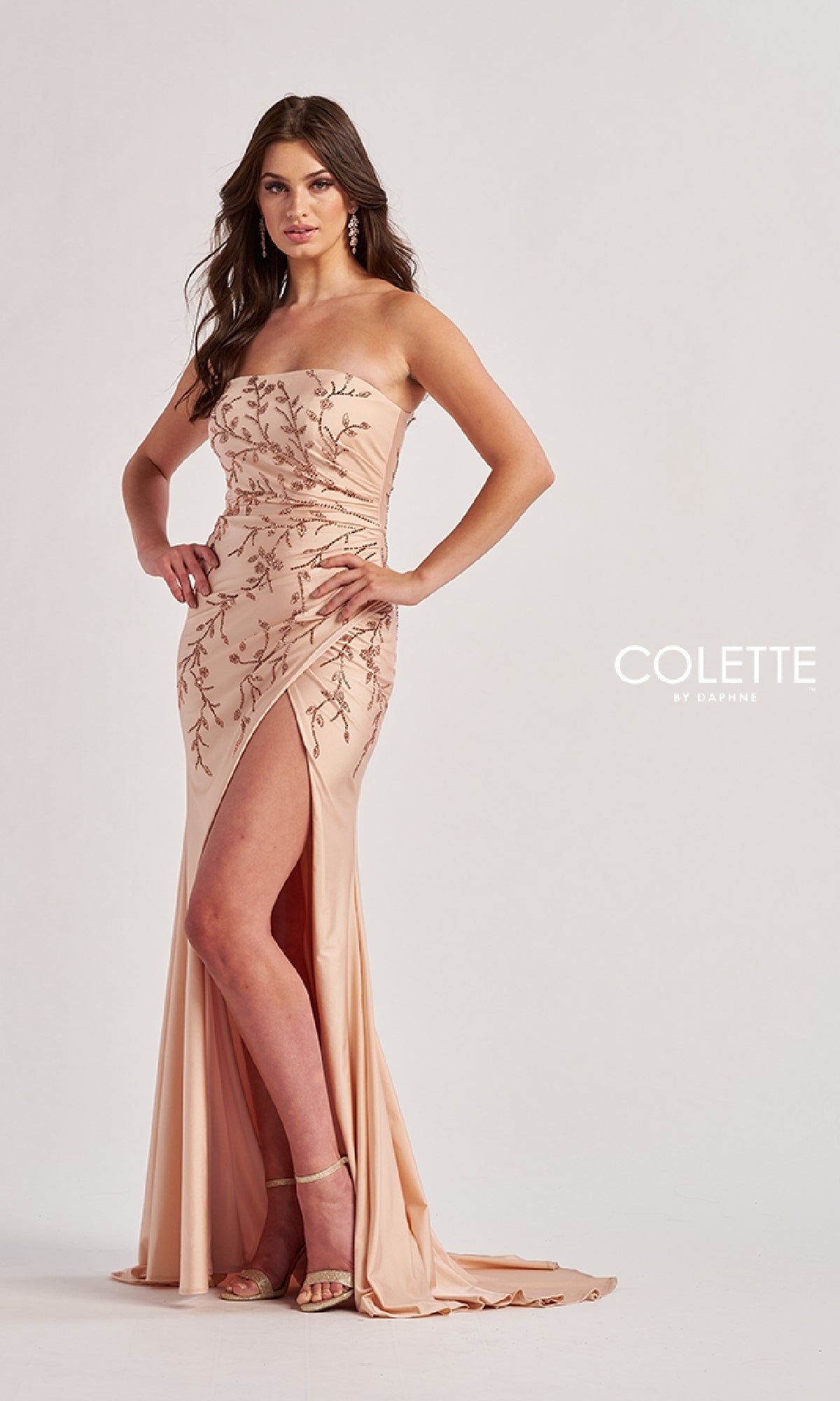 Long Prom Dress: Colette CL8500