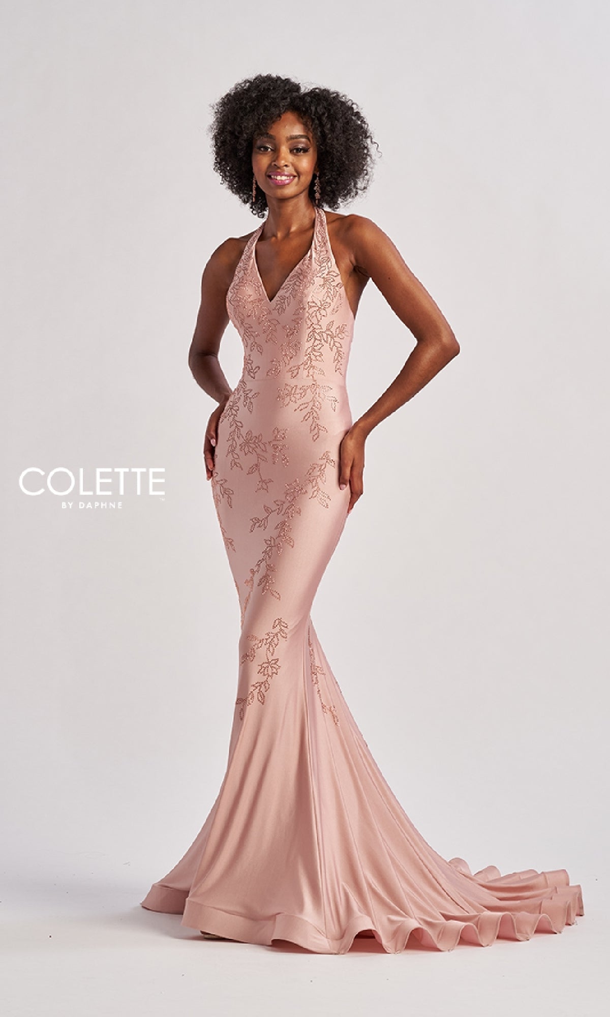 Long Prom Dress: Colette CL8580