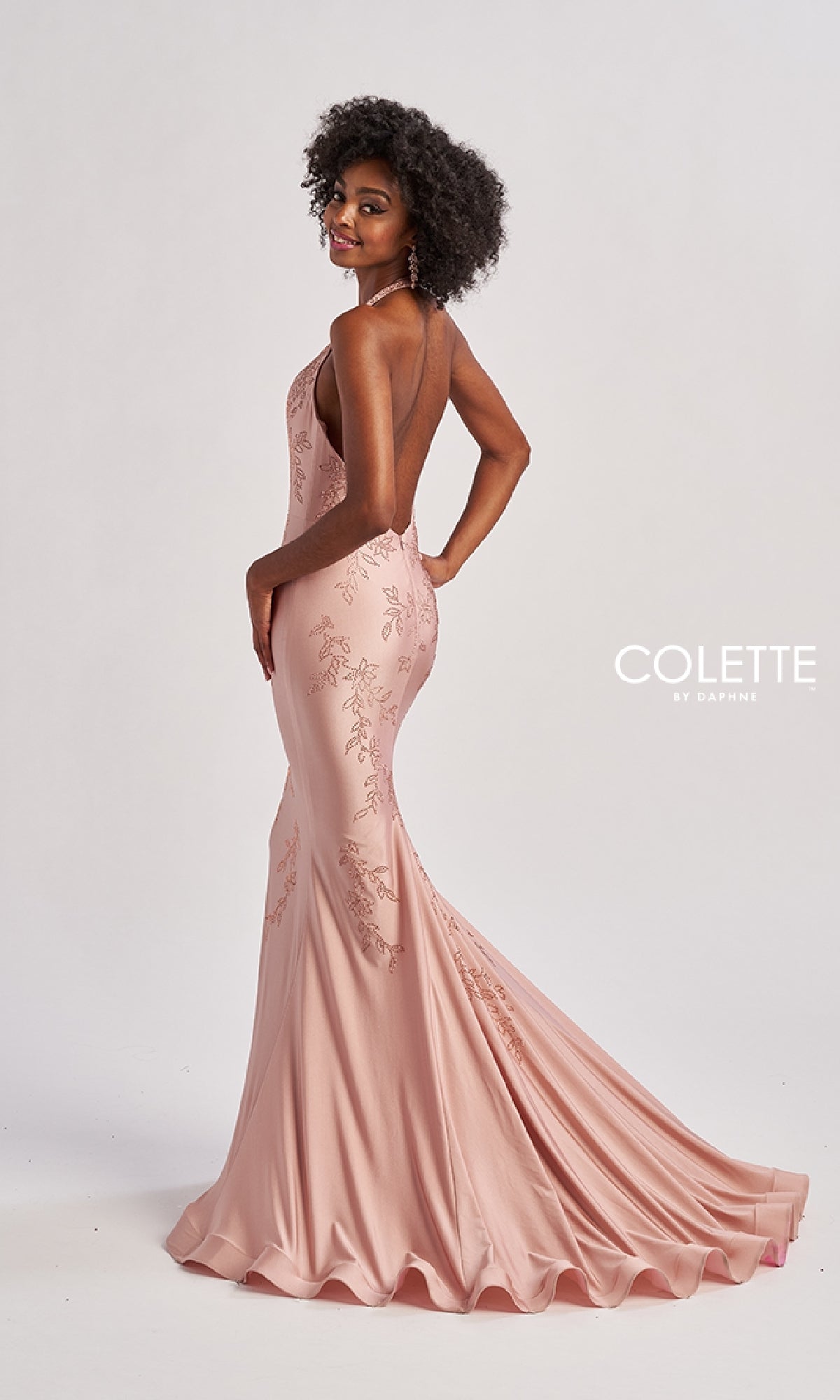 Long Prom Dress: Colette CL8580