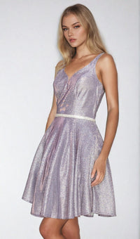 Short A-Line Glitter Homecoming Dress 8013J