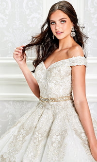 Princesa Lace Ball Gown Quinceañera Dress PR11921