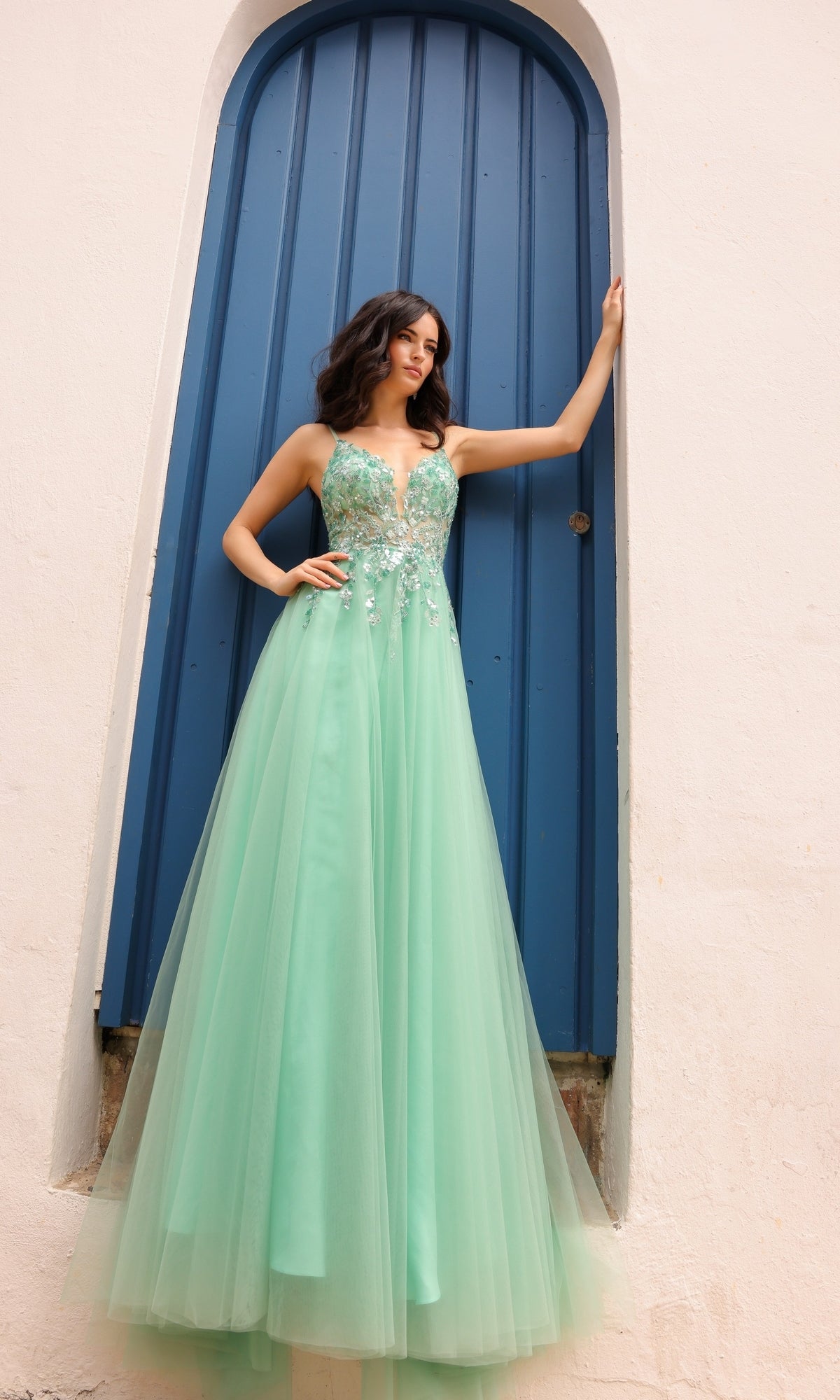 Embroidered tulle cheap evening dress