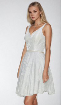 Short A-Line Glitter Homecoming Dress 8013J