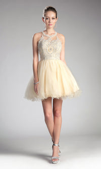 High-Neck Short Babydoll Homecoming Dress UJ0119