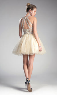 High-Neck Short Babydoll Homecoming Dress UJ0119