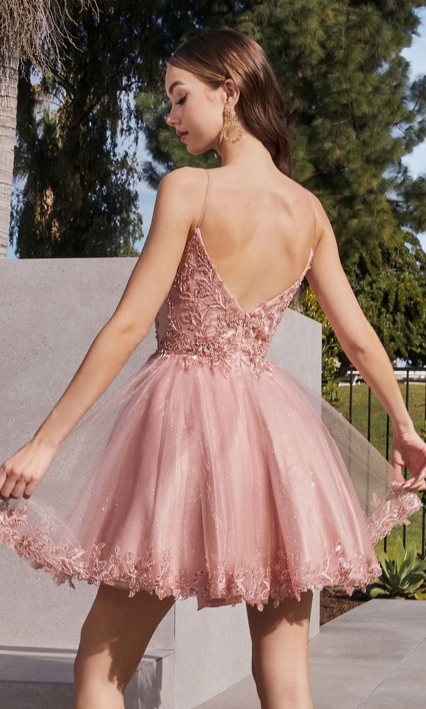 Short Homecoming Dress  CD0213 with Embroidery