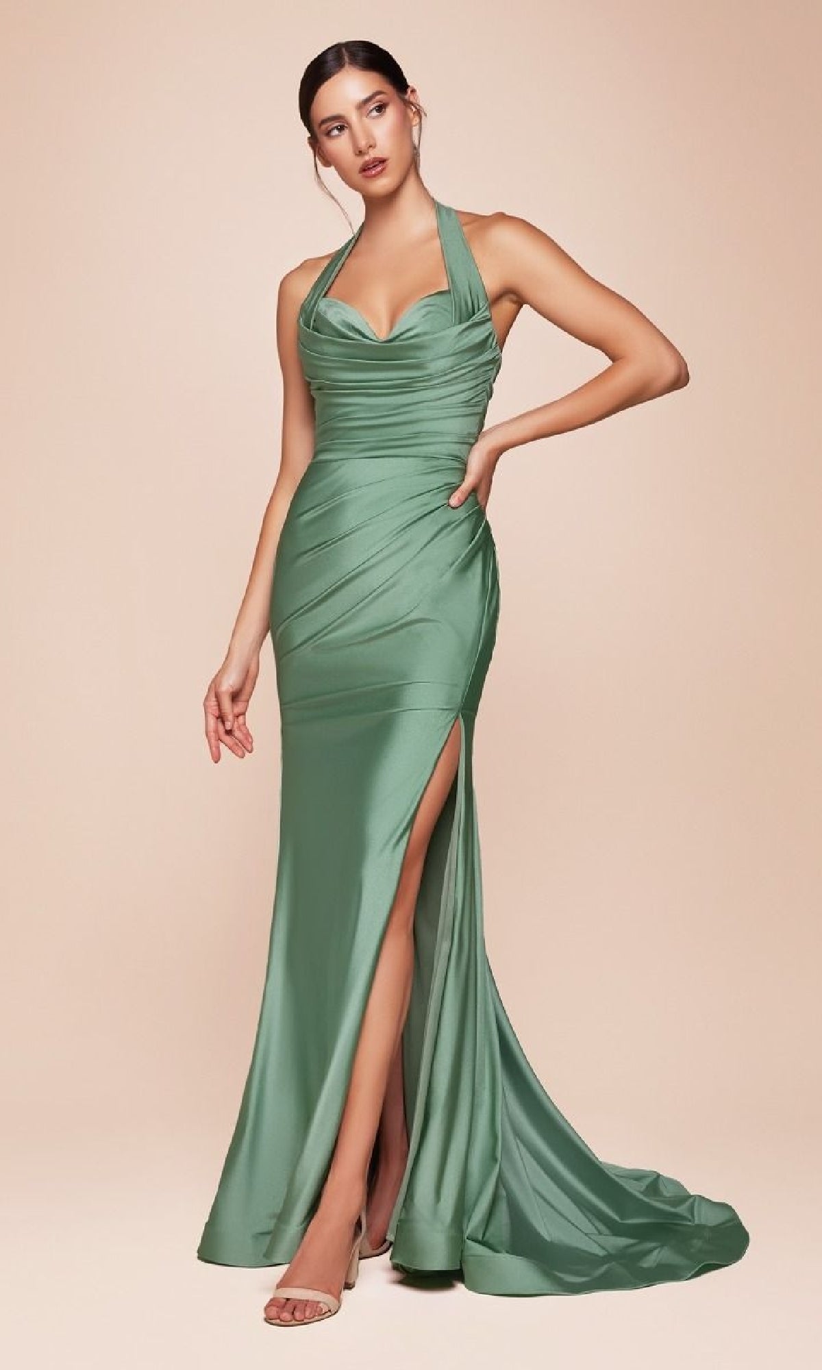 Long Prom Dress: Ladivine CD796