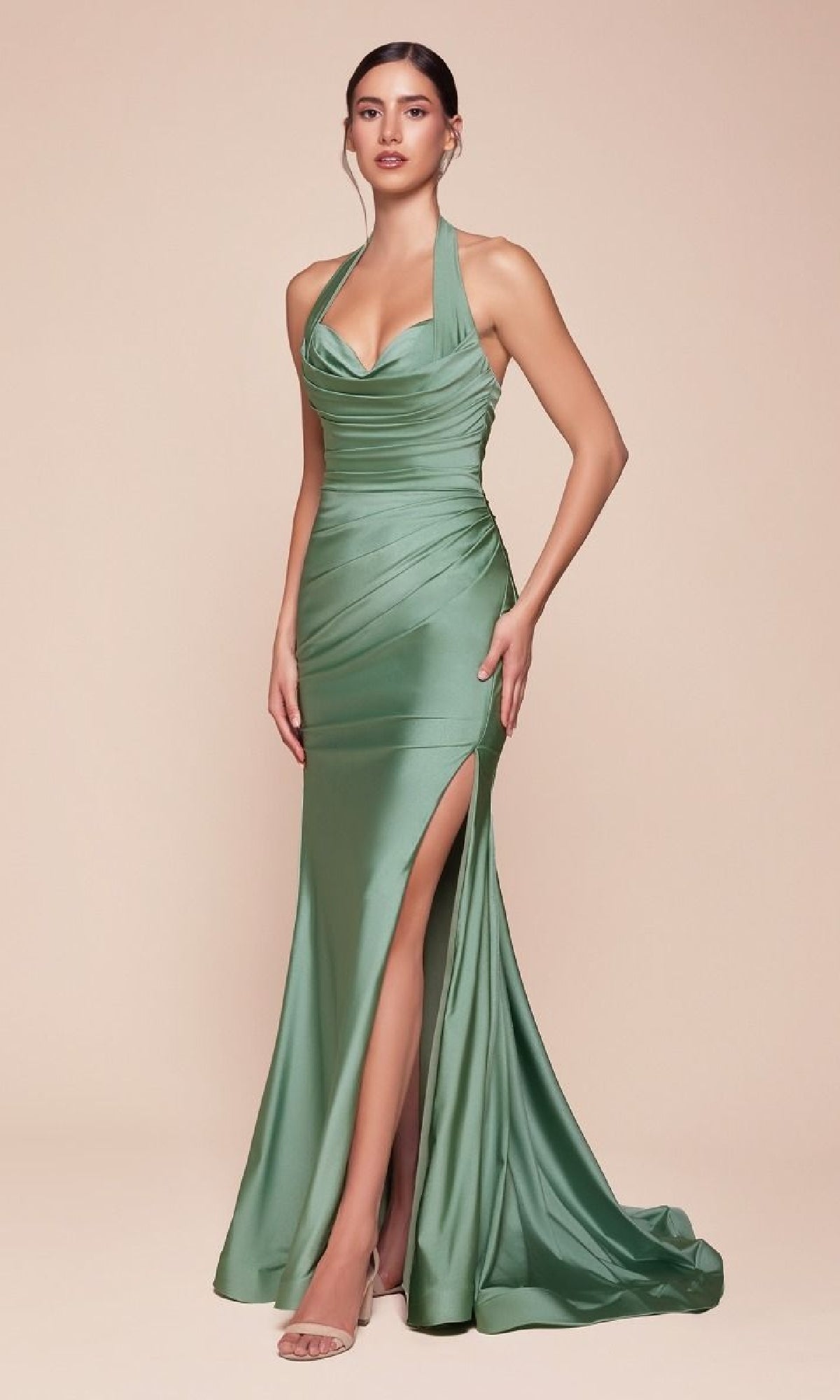 Long Prom Dress: Ladivine CD796