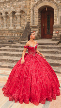 Corset Quinceanera Dress: Amarra 54237