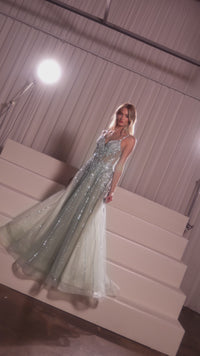 Long Prom Dress: Ladivine CD786