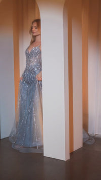 Long Prom Dress: Ladivine CD786