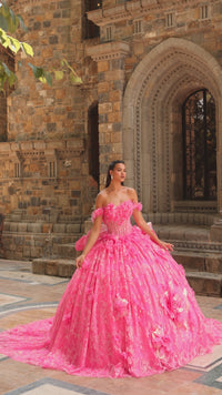 3D Flower Quinceanera Dress: Amarra 54233