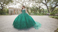 Glow-in-the-Dark Princesa Quinceañera Dress PR12261