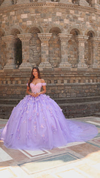 3D Floral Quinceañera Dress: Amarra 54231