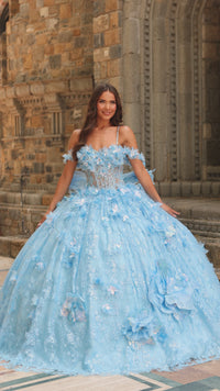 3D Flower Quinceanera Dress: Amarra 54233