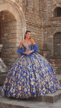 Sequin Quinceanera Dress: Amarra 54238