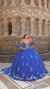 Catehdral-Train Quinceanera Dress: Amarra 54242