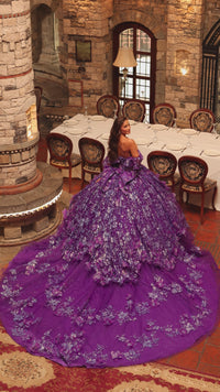 Off-the-Shoulder Quinceañera Dress: Amarra 54230