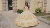 Quinceanera Dress 54208 By Amarra